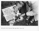 Will My Voice Echo Till Time Ends? (After Derek Jarman\'s \'Chroma\', 1994), 2012 
